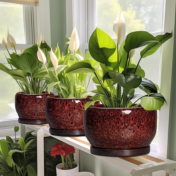 SQOWL Ceramic Plant Pots - 8 inch Planter with Drainage Hole and Tray, Round Ceramic Planter for Indoor Outdoor, Modern Decorative Flower Pot, Home Room House Decor, Plant Lovers Gifts, Red SQOWL