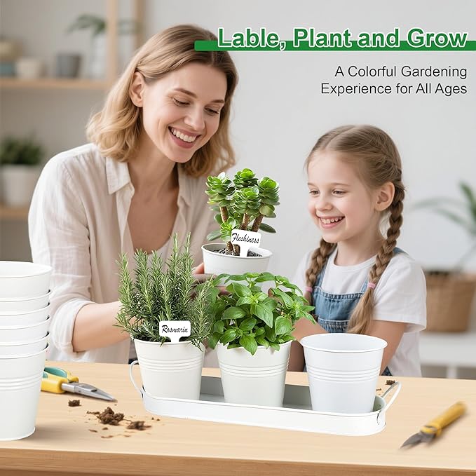 Herb Garden Planter Indoor Kit – 6 Metal Pots with 2 Trays for Windowsill & Kitchen Counter – Modern Decorative Indoor Planters for Herbs, Succulents & Small Plants, White Wacloud