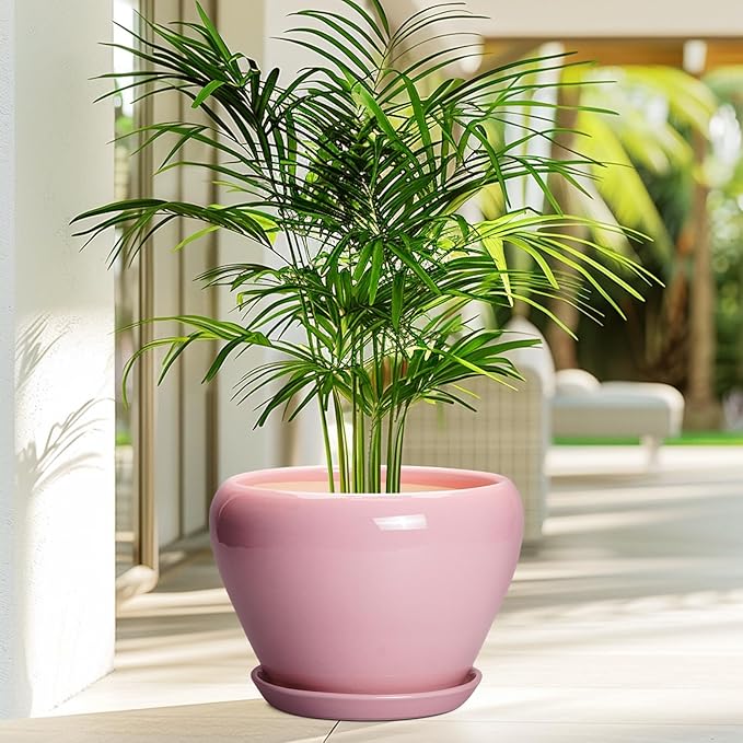10 Inch Plant Pot - Ceramic Planter for Indoor Plants, Glaze Modern Round Planter with Drainage Hole and Saucer, Gifts for Plant Lovers, Office Patio Home Room Decor, Pink Ceramicfor