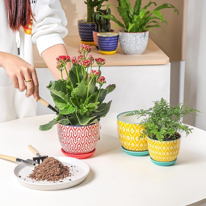 Selamica Ceramic Plant Pots, 4.6 Inch Flower Pots for Indoor Plants, Succulent Pots with Drainage Hole & Saucer, Succulent Planters for Succulent Cactus, Home Decor, Set of 4, Assorted Colors Selamica