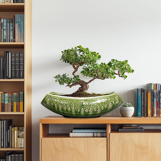 Bonsai Planter 18 Inch - Large Ceramic Succulent Pots with Drainage Hole, Bonsai Pots for Indoor Outdoor Plant, Ceramic Flower Pot, Decorative Plant Pot, Garden Decor, Housewarming Gift, Green Teagas