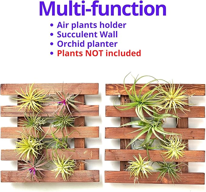 ShopLaLa Wall Planter - 2 Pack Wooden Hanging Succulent Wall Decor, Live Air Plants Orchids Wall Mounted Holder Frame Display for Indoor Outdoor, Living Plant Wall Decor Balcony Garden ShopLaLa
