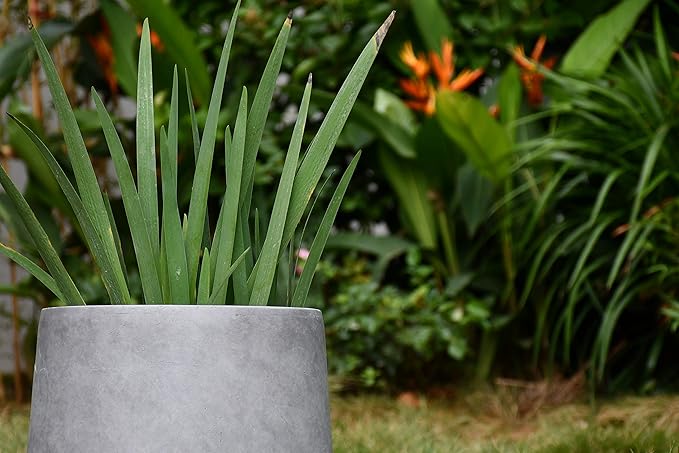 Kante 15.3" Dia Round Concrete Planter, Outdoor Indoor Large Plant Pots Containers with Drainage Hole and Rubber Plug for Home Garden Patio, Natural Concrete Kante