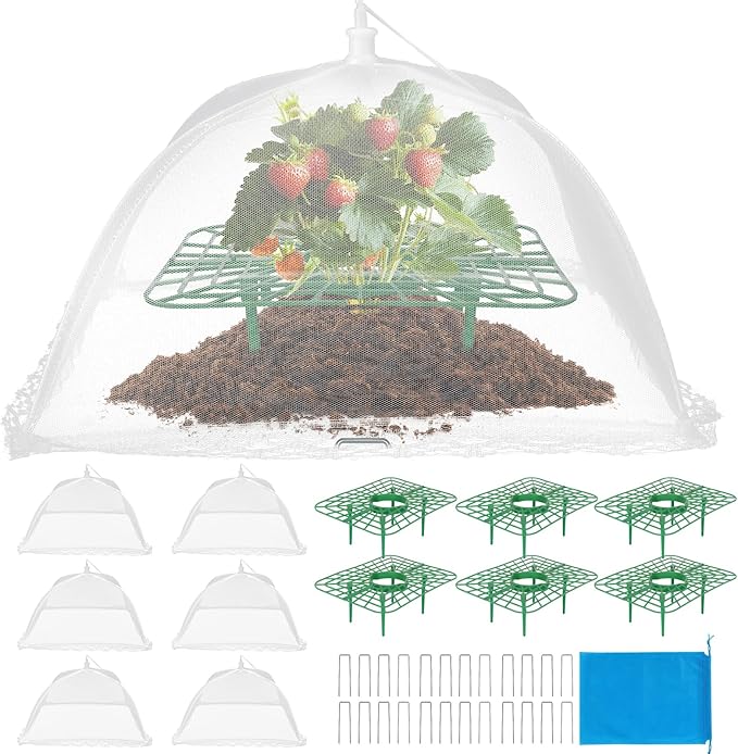 6 Sets Strawberry Plant Support with Mesh Plant Cover,Strawberry Growing Racks Sets with Iron Plant Nails and Storage Bag for Garden Strawberry Vegetables(White Net - Square) Rootora