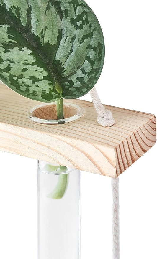 Mkono 3 Tiered Wall Hanging Plant Terrarium with Wooden Stand, Glass Planter for Hydroponic Plant Cutting, Home Garden Office Decor, Gift Mkono