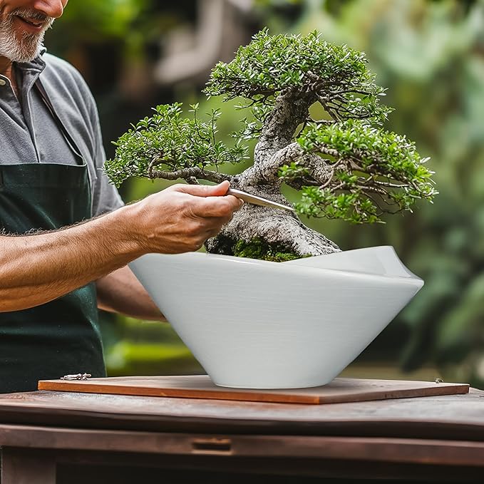 Bonsai Pots 13 Inch - Ceramic Succulent Pots with Drainage Hole Decorative Plant Pot Indoor Large Outdoor Planter Modern Flower Pot for Home Garden Office Room Decor Gray Teagas