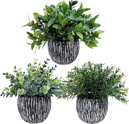 Winlyn Set of 3 Artificial Potted Plants Faux Eucalyptus Rosemary Boxwood Greenery in Black & White Concrete Pots Small Fake Plant for Indoor Outdoor Home Office Table Shelf Windowsill Greens Décor Winlyn