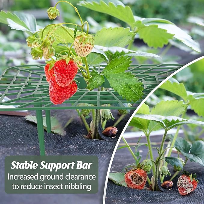 6 Sets Strawberry Plant Support with Mesh Plant Cover,Strawberry Growing Racks Sets with Iron Plant Nails and Storage Bag for Garden Strawberry Vegetables(White Net - Square) Rootora