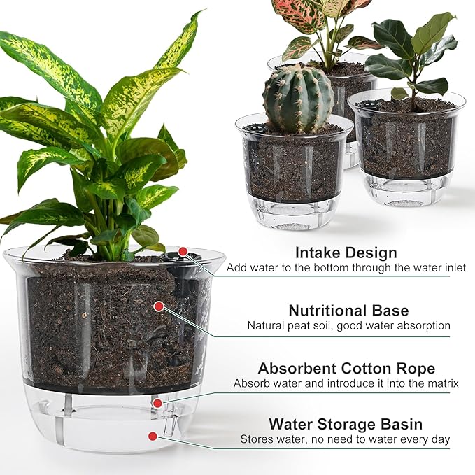 Plant Pots 6 inch Set of 3, Self Watering Pots for Indoor Outdoor Plants Flowers, Self Watering Planters with Reservoir, Drainage Hole and Absorbent Cotton Rope (3 Large) IWNTWY