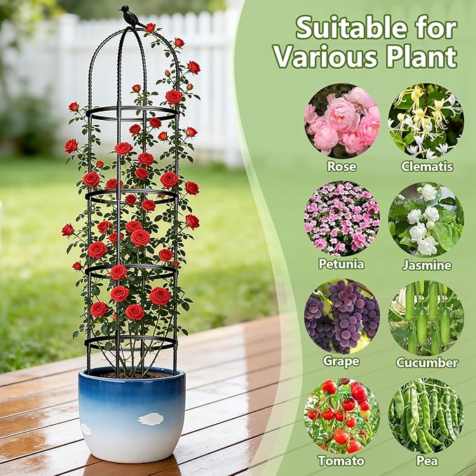Obelisk Trellis for Garden Plants Climbing: 6ft Rustproof Metal Pipe with Plastic Coated - Potted Plant Climber Support for Outdoor Indoor Grape Vines Vegetable Fruits Flowers (1PC) ONEANU