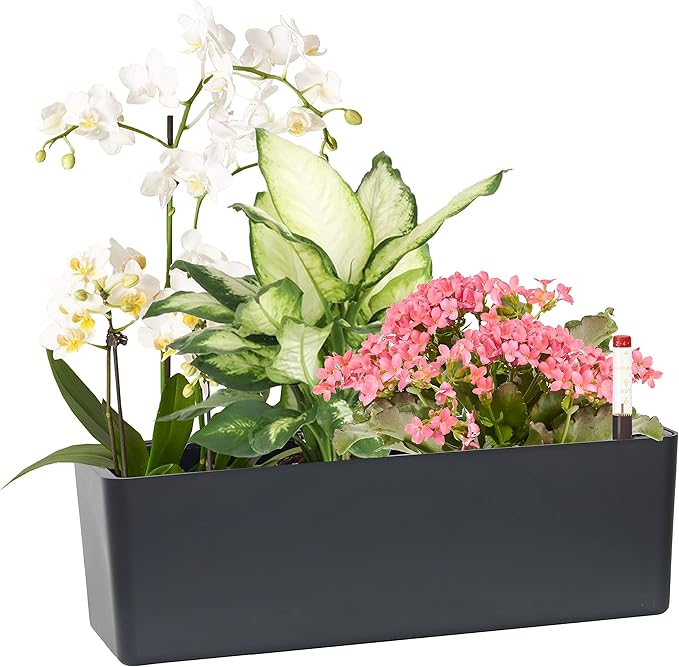 GardenBasix Elongated Self Watering Planter Pots Window Box 5.5 x 16 inch Indoor Home Garden Modern Decorative Planter Pot for All House Plants Flowers Herbs (Dark Grey,1-Pack) GardenBasix