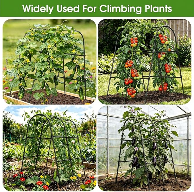 Cucumber Trellis for Raised Bed,U-Shape Garden Trellis for Climbing Plants Outdoor, Metal Arch Vegetables Trellis, Plant Support for Vine (Black, 31.5" Lx21.6 Wx47.2 H-Small) MQHUAYU