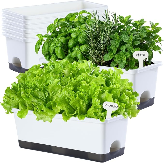 Window Box Planter 8 Pcs, 17 Inches Rectangle Flower Pots with Drainage Holes & Trays, Vegetable Planters for Windowsill Patio Garden Balcony Home Indoor Outdoor (White, 16 * 7 * 6 inch) Oliz