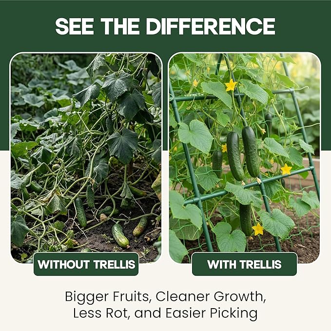 50x50 Cucumber Trellis for Raised Bed - A Frame Garden Trellis for Climbing Plants Outdoor - Cucumbers, Pea, Zucchini, Squash,Tomato, Green Bean, Vine, Watermelon, Melon, Pumpkin K-BRANDS