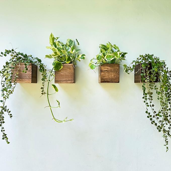 LaLaGreen Wood Planter Boxes (4x4 Inch, 4 Pack) Small Square Wooden Wall Mounted Flower Pot for Indoor Plants, Window Box Mount Hanging Herb Planters Outdoor Plant Holder Vertical Garden Home Decor L%C3%A1L%C3%A1Green