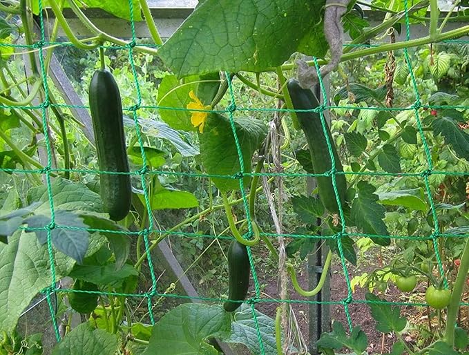 Trellis Netting for Climbing Plants - Heavy Duty Garden Trellis Netting for Cucumber, Vine, Fruits & Vegetables Tomato Plants Trellis Net, Climbing Vining Plants (2-Pack 16.4' x 6.6'Ft) Miuezuth
