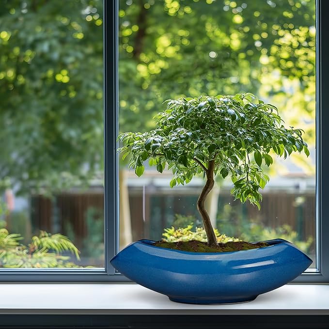 Bonsai Tree Pot 18 Inch - Ceramic Succulent Pots Large Bonsai Planter for Indoor Outdoor Plants Decorative Plant Pot with Drainage Hole Flower Pot for Home Garden Room Decor Blue Teagas