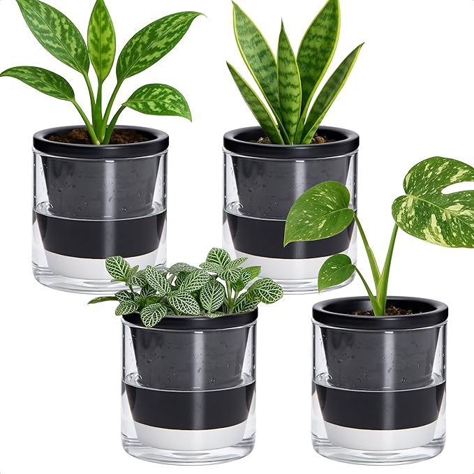 D'vine Dev 4 Inch Design Self Watering Planter for Indoor Plants, Black Terracotta Pot with Cylinder Glass Cup, Set of 4, 37-Z-A-3-F DvineDevPlanterPotsandStand