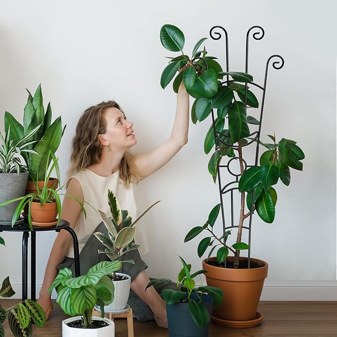 32.6in Plant Trellis for Climbing Plants Indoor, Expandable Large Metal Trellis for Potted Plants, Heavy-Duty Tall Pothos Plant Climber Support for Ivy Pothos Hoya Monstera, 4P Xeeol