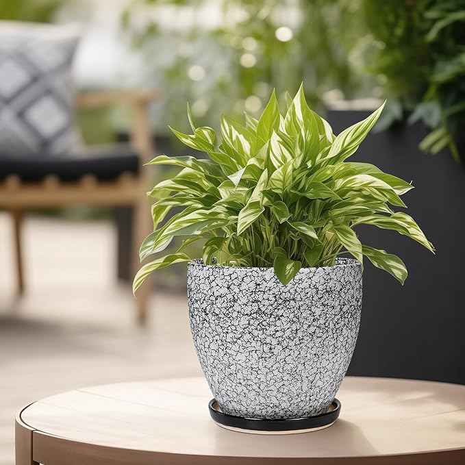 Ceramic Planter - 6.3 Inch Plant Pot for Indoor Ourdoor Plants, Round Succulent Planter, Decorative Flower Pots with Drainage Hole and Saucer, Home Desk Decor, Housewarming Gifts, White-black EPFamily