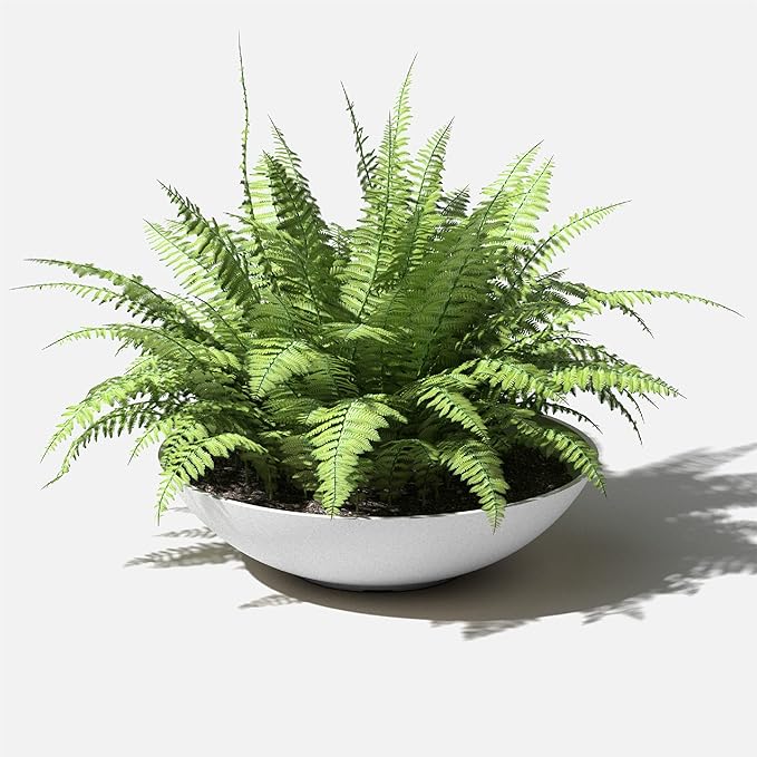 Veradek Mason Series Lane Bowl Planter| for Indoor or Outdoor Tabletops/Gardens |Made from Plastic-Stone Composite with Drainage Holes|Modern Décor for Flowers, Succulents, Small Plants VeradekOutdoor