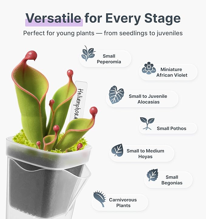12 Pack 2.5" Small Self Watering Pots for Indoor Plants, Mini Clear Plastic Planters, Semi-Hydro, Propagation, Cuttings, Seedlings, Hoya, African Violets, Alocasia, LECA, PON,12 Plant Label Vandorelle