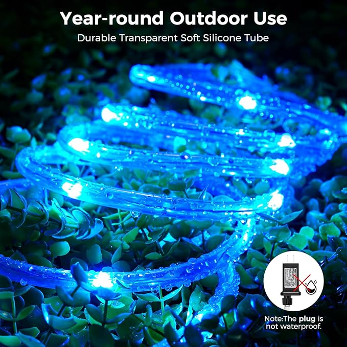 Minetom Color Changing Rope Lights Outdoor, 33FT 100 LED String Lights with Plug & Remote, Waterproof Christmas Light Outdoor Decoration, Twinkle LED Rope Light for Outside Indoor Bedroom,16 Colors Minetom
