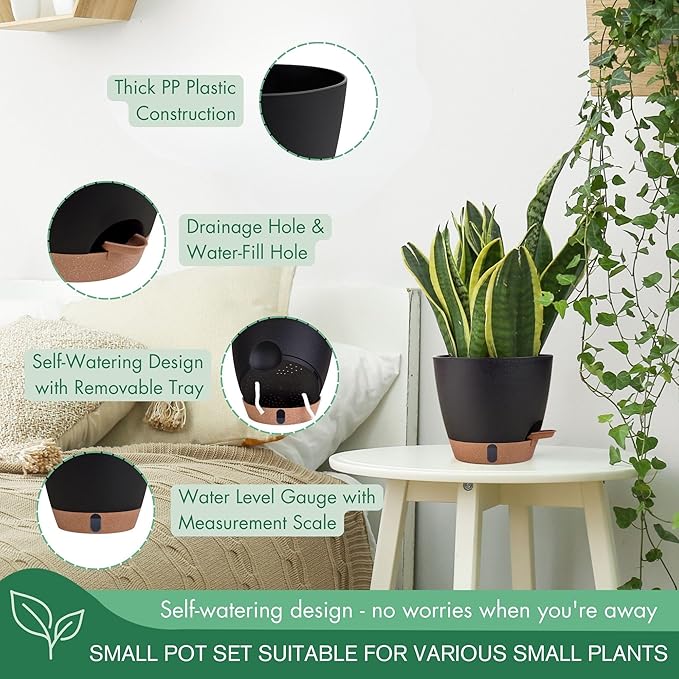 montresor 5-Pack Self-Watering Plastic Plant Pots 5/5.5/6/6.5/7 Inch– Black Indoor Flower Pots with Wick & Water Tray for Herbs, Succulents, Seedlings, Small Plants Montresor