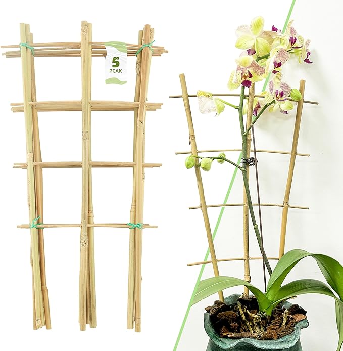 16Inch 5Pack Bamboo Trellis for Climbing Plants, Garden Ladder Trellis for Potted Plants Indoor, Fan Shaped Small Plant Support Trellis for HousePlants Ivy Vine Monstera 3-4 Avalution