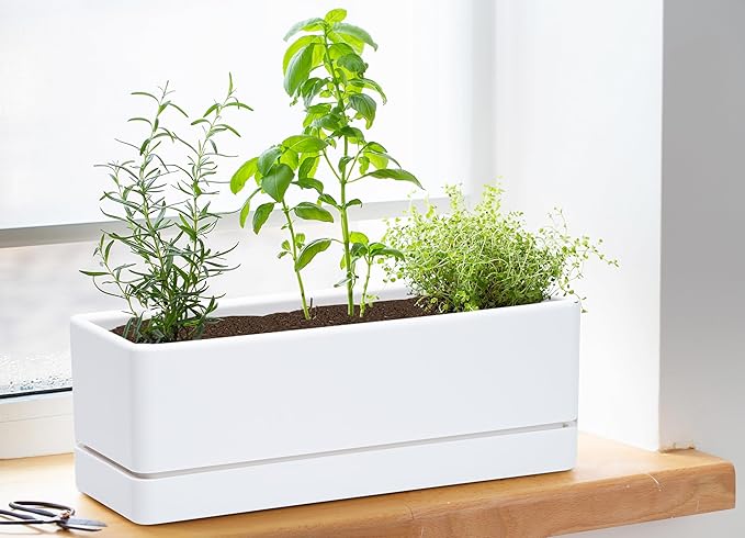 D'vine Dev 12 Inch Window Box Planter, Rectangle Plastic Herb Planter with Drainage Holes and Saucer, Indoor Succulent Cactus Vegetable Pot for Windowsill, Garden Balcony, White, Set of 2, 76-X-A-2 DvineDevPlanterPotsandStand