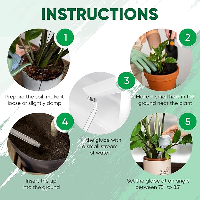 Clear Plant Watering Globes Set of 6 - Large Self Watering Globes for Indoor & Outdoor Plants - Automatic, Glass Watering Bulbs for Daily Use, Plant Watering Devices MissionGallery