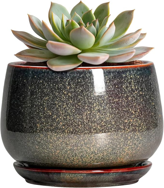 G EPGardening 6 Inch Plant Pot - Ceramic Succulent Pots with Drainage and Ceramic Tray, Round Planter for Indoor Outdoor Plants, Decorative Flower Pots, Home Decor, Gift for Women Men, Speckled Brown GEPGardening
