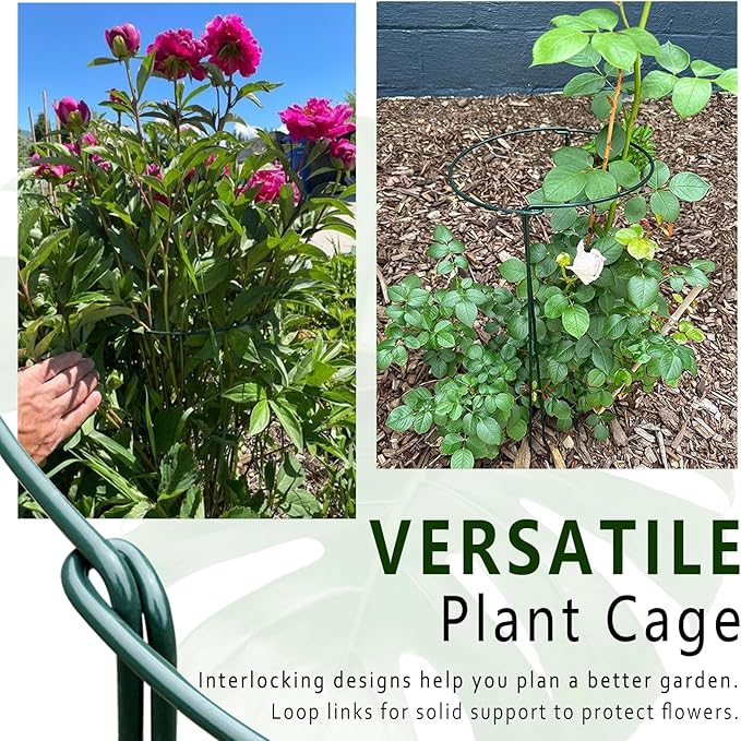 6 Pack Plant Support Stakes, 15.8" Half Round Metal Garden Plant Supports for Indoor Plants, Green Plant Cage Ring for Monstera, Peony, Hydrangea, Potted Plant Holder Sticks (10" Wide) Soupiar