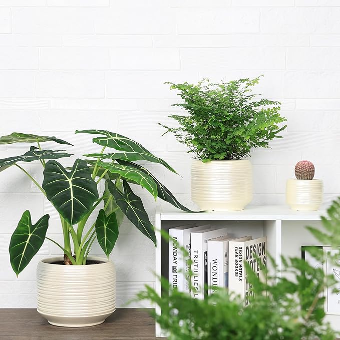 8 Inch + 6 Inch Ceramic Plant Pots Indoor with Drainage – Flower Pot Set, Decorative Indoor Planters for House Plants and Garden Use Bestseler