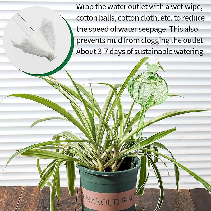 Self Watering Planter Insert. Plant Watering Devices. 3-Pack Cactus Plant Watering Bulbs. Plant Watering Globes. Plant Gifts Plant Lover Gifts KGCCIZI