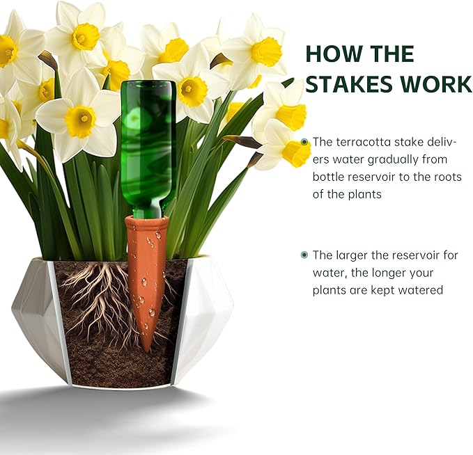 Large Terracotta Watering Spikes with Lids, Automatic Plant Waterer Outdoor | Indoor, Vacation Friendly Clay Plant Watering Devices System, Slow Release Self Watering Planter Insert, 6 Pack SoilaguaDirect