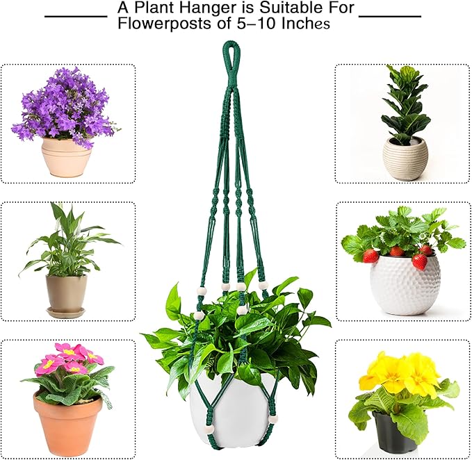 Augshy Macrame Plant Hangers Dark Green Hanging Planters for Indoor Outdoor Home Decor, Hanging Plant Holder No Tassels Set of 2 with 4 Hooks Augshy