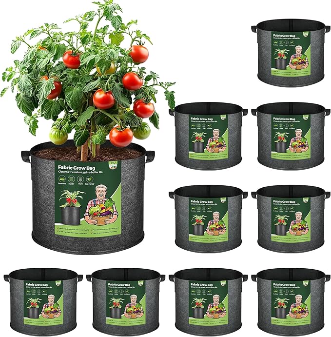 T4U 10 Gallon Grow Bags, Fabric Pots for Plants Potato Planter Grow Garden Bags to Grow Vegetables Tomato Planting Growing Bags Smart Plant Pot Container Gardening for Outdoor, Black Nonwoven 10 Pack T4U