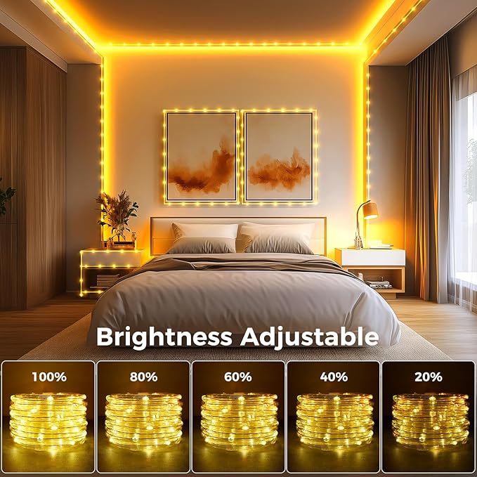 Minetom Color Changing Rope Lights Outdoor, 33FT 100 LED String Lights with Plug & Remote, Waterproof Christmas Light Outdoor Decoration, Twinkle LED Rope Light for Outside Indoor Bedroom,16 Colors Minetom