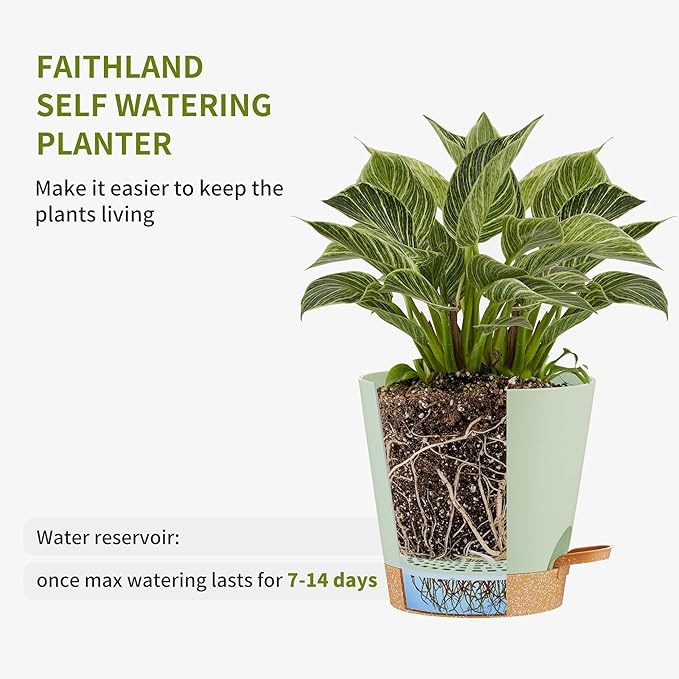 FaithLand 2-Pack 9 Inch Planter Pots for Indoor Outdoor Plants, Self Watering Flower Pots with Deep Reservoir, Green with Terracotta … FaithLand