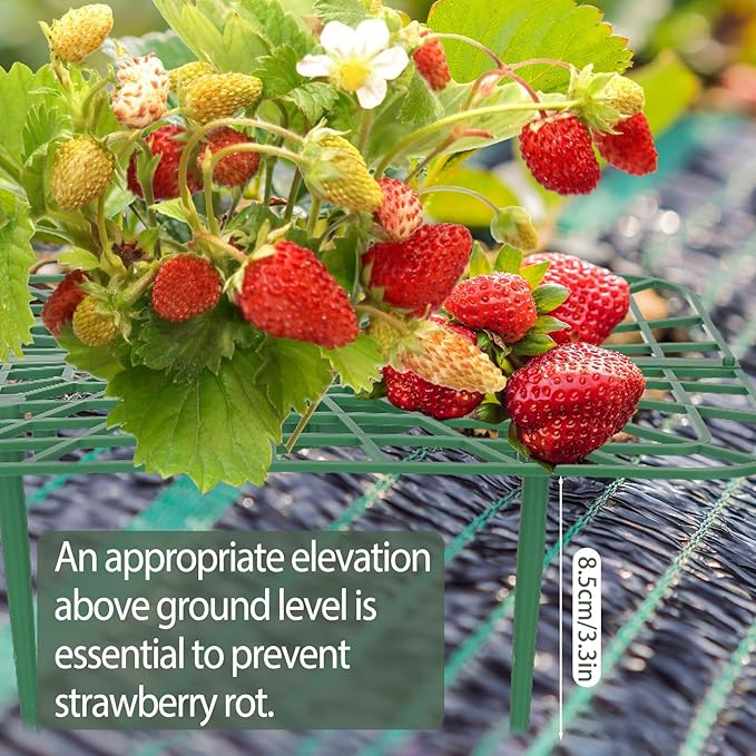 6 Sets Strawberry Plant Support with Mesh Plant Cover,Strawberry Growing Racks Sets with Iron Plant Nails and Storage Bag for Garden Strawberry Vegetables(Green Net - Square) Rootora