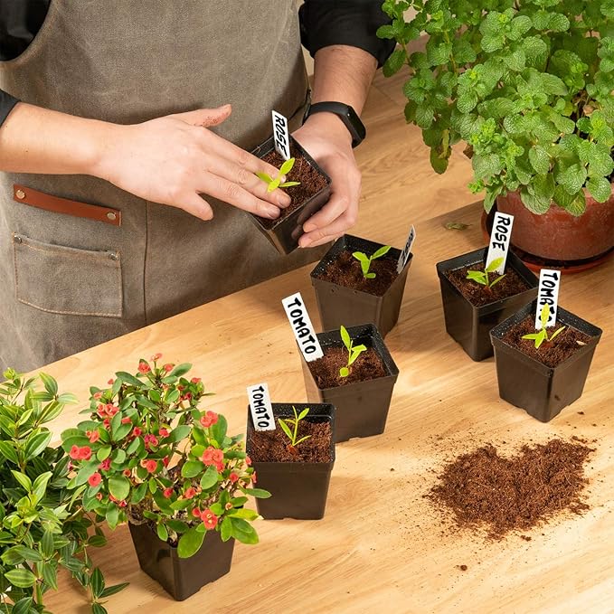 June Fox Square Nursery Pots 3.3 Inches Flexible Plastic Seedling Pots Square Pots for Plants, Succulent, Flower, Pack of 60, with 60 PCS Plant Labels June+Fox