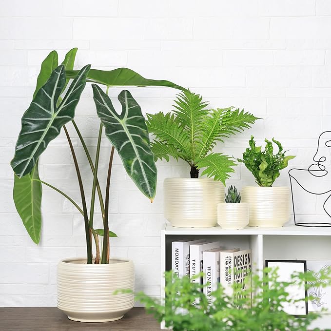 10 Inch Ceramic Plant Pot with Drainage – Large Flower Pot for Indoor Outdoor Plants, Modern Decorative Planter for Patio, Balcony, Garden, or Home Decor Bestseler