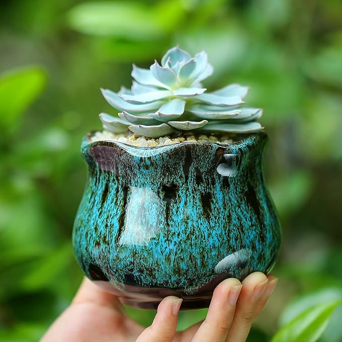 Cute Ceramic Succulent Planters, Garden Pots with Drainage and Attached Saucer, Set of 6 - Plants Not Included Fulloog