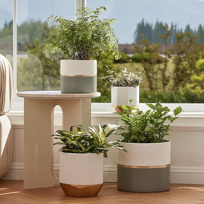 LA Jolie Muse White Ceramic Flower Pot Garden Planters 6.7 Inch Pack 2 Indoor Plant Containers with Gold and Grey Detailing LaJol%C3%ADeMuse