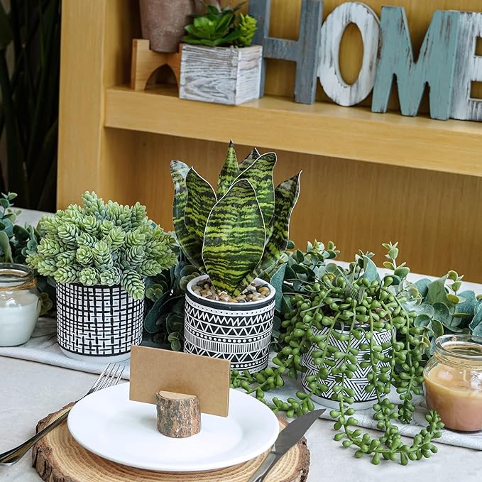 Winlyn 3 Pcs Small Potted Plants Artificial Succulents Hanging Plants and Faux Tropical Snake Plant in Black Geometric Pots for Modern Home Kitchen Windowsill Table Shelf Indoor Outdoor Greenery Decor Winlyn