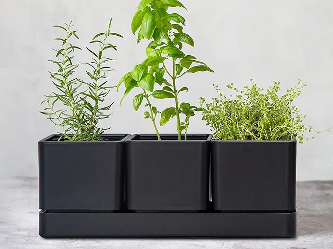 D'vine Dev Herb Garden Planter Set, Plastic Plant Pots with Drainage and Saucer, Indoor Succulent Cactus Vegetable Pot for Windowsill, Garden Balcony, Black, Set of 1, 76-V-B-1 DvineDevPlanterPotsandStand