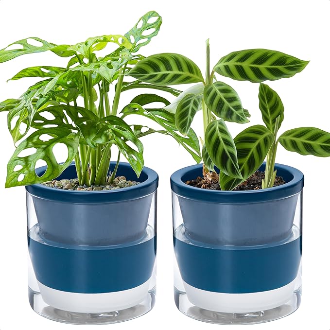 D'vine Dev 6 Inch Design Self Watering Planter for Indoor Plants, Blue Terracotta Pot with Cylinder Glass Cup, Set of 2, 37-Y-B-4 DvineDevPlanterPotsandStand