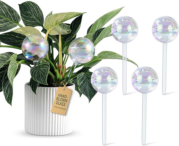 Extra-Thick Clear Glass Plant Watering Globes, Rainbow Gradient Self Watering Globes, Automatic Plant Waterer, Self Watering Planter Insert Spikes Devices for Everyday or Vacation Use, 6-Pack SoilaguaDirect