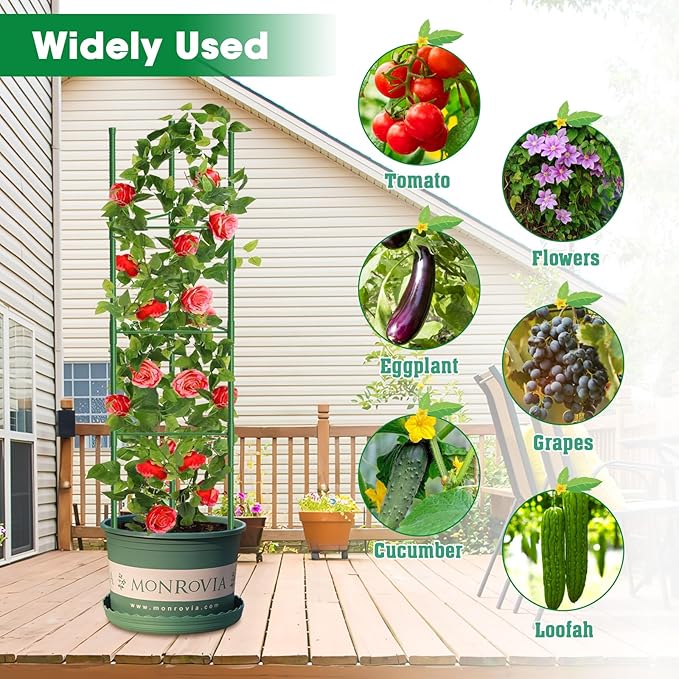 6 Pack Tomato Cages, 51.2in Tomato Plant Support Stakes Heavy-Duty, Garden Tomato Cages & Trellis for Climbing Vegetables, Tomatoes, Peppers, and Potted Plants(6) MQUPIN